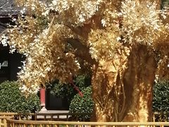 -鑫涛温泉汗蒸时代