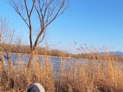 -野鸭湖国家湿地公园