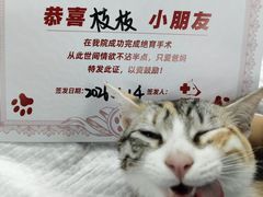 -御宝贝24h宠物医院·转诊中心·CT核磁血透中心(厦门总院)