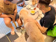 -小团圆糖水铺(襄阳南路店)