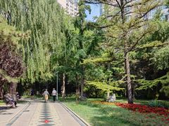 -团结湖公园