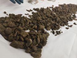 -姜美堂·蒸姜除湿の纤体美颜馆