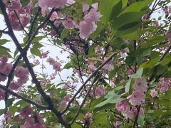-桃花岭景区