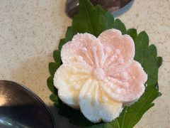 -芙蓉堂(武汉天地店)