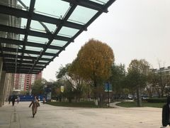 -远洋未来汇