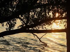 -宝安西湾红树林湿地公园