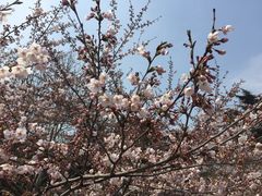 -王记西鎮电烤肉(汶上路店)