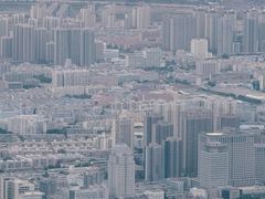 -兰山公园