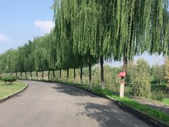 -洨河生态公园