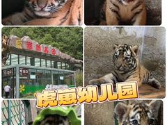 -栾川竹海野生动物园