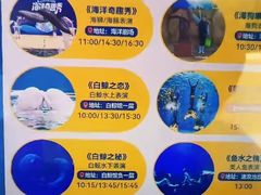 -秦皇岛乐岛海洋王国