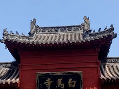-洛阳白马寺