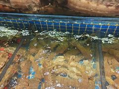 -船家渔(徐州北路店)