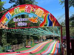 -西霞口神雕山野生动物世界