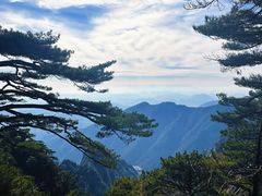 -黄山风景区