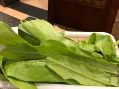-湘肠香火锅店(团结湖店)