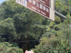 -南沙天后宫景区