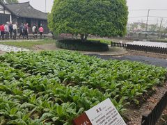 -张闻天故居