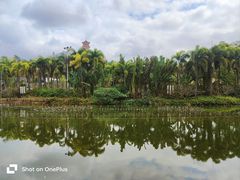 -台山颐和温泉城