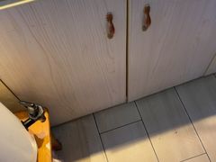 -南沙辉记烧鸡·荔枝木炭火吊烧(旧镇店)