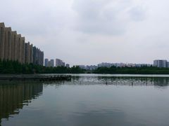 -佘记全家福芋儿鸡(向阳街总店)