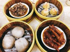 -肥佬夜茶(早茶·西乡店)