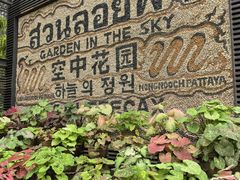 -东芭乐园