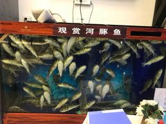-肆月河豚·新淮扬(金融街店)