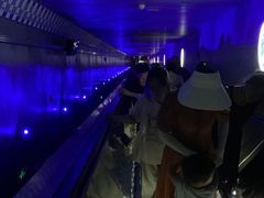 -白鹤梁水下博物馆