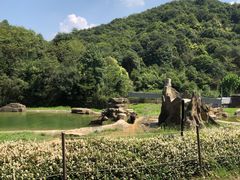 -杭州野生动物世界