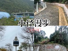 -东部华侨城