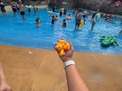 -杭州开元森泊度假乐园