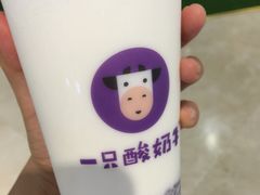-一只酸奶牛(百联南岸上海城店)