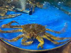 -蟹之国·精品蟹料理(极地店)