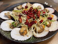 -鲁前海沿儿