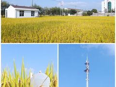 -芦恒路站-停车场