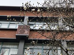 -浙江大学(玉泉校区)
