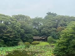 -东京国立博物馆