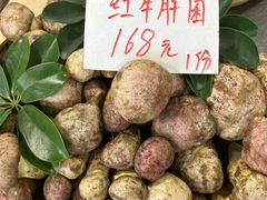 -海埂温馨饭店(金海荟·商业中心店)