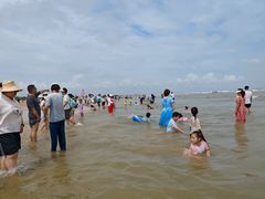 -日照海滨国家森林公园