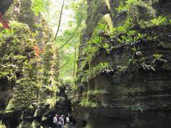 -梭布垭石林景区