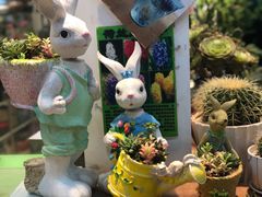 -双季花艺园艺市场(浦东店)