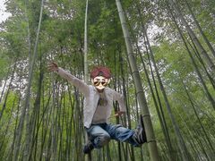 -广州市石门国家森林公园