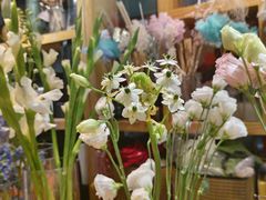 -谷莠子花艺·气球派对·绿植造景·花艺沙龙(金光华广场店)