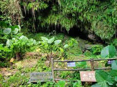 -海口火山口国家地质公园