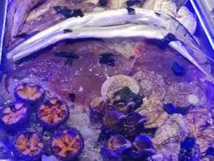 -丁字口海鲜热炒·烧烤大排档