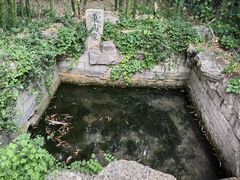 -趵突泉景区