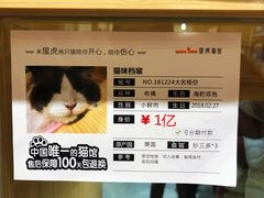 -屋虎猫馆(宝安大仟里店)