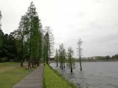 -南国桃园旅游度假区