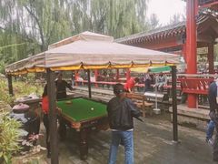 -尚庄度假村·庭台树下·户外烧烤·团建CS·轰趴营地(上庄水库店)